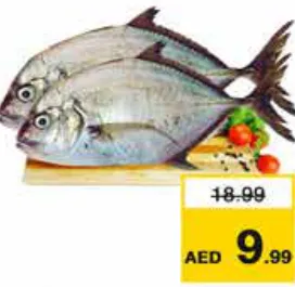 سمك بارا طازج