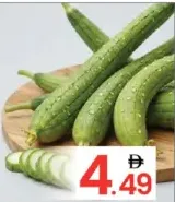 Sponge Gourd