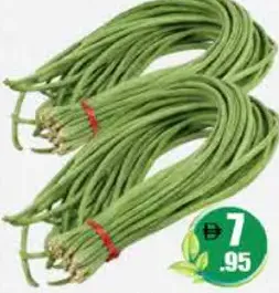 لوبيا طويلة عماني