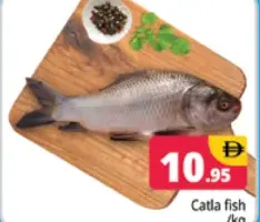 Catla Fish
