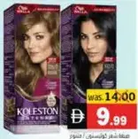 Koleston Hair Color Assorted