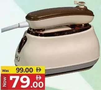 Hu مكواة بخار سفر صغيرة 1000w Hho-1008