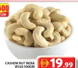 Cashew Nut India W320