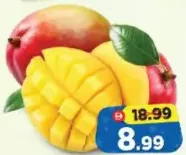 Mango Keitt Egypt