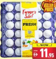 Farmers Select White Egg