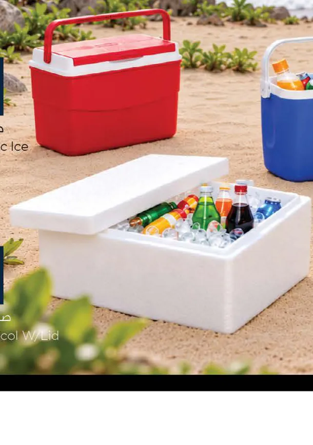 Ice Box Thermocol With Lid Assorted