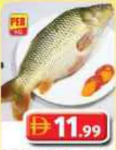 Fresh Kora Cuttla