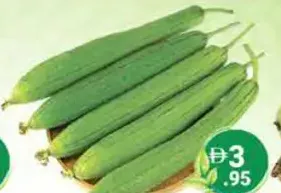 Luffa