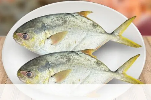 Trevally/Yellow Para