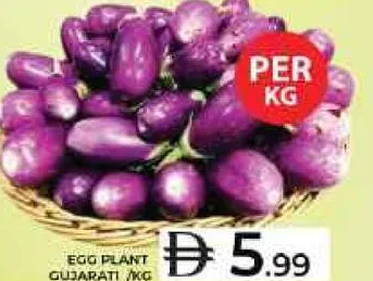 Egg Plant (Gujarati)