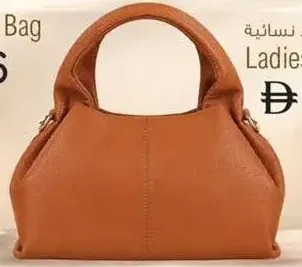 Ladies Hand Bag