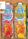 Tea Time شاي مثلج توت بري وتوت العليق / مانجو وباشن