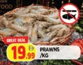 Prawns