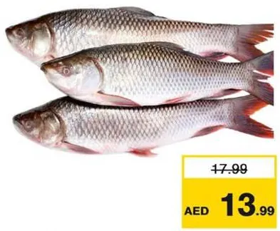 سمك روحو