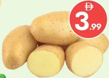 Potato Syria