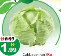 Cabbage Iran