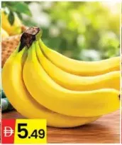 موز Ecudor