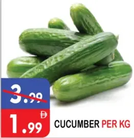 Cucumber