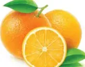 Navel Orange