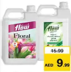 Flow Floor Cleaner&Disinfectant Floral / Pine