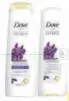 Dove Shampoo + Conditioner Assorted