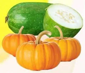 Pumpkin Red/White