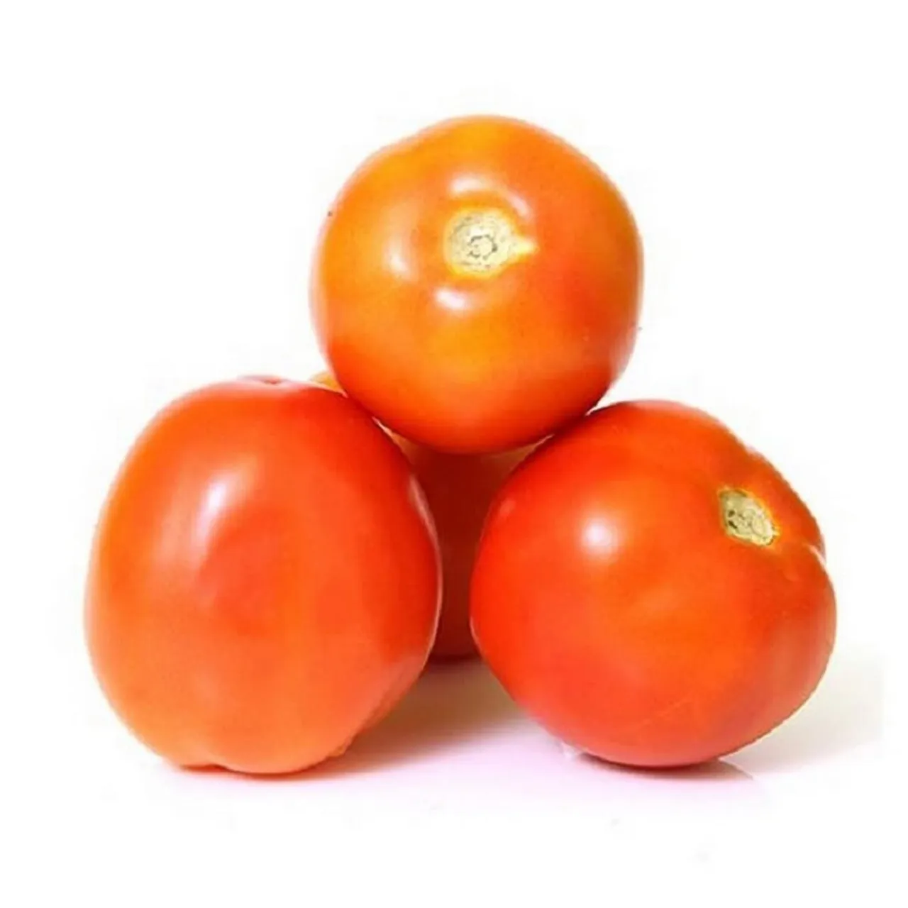طماطم