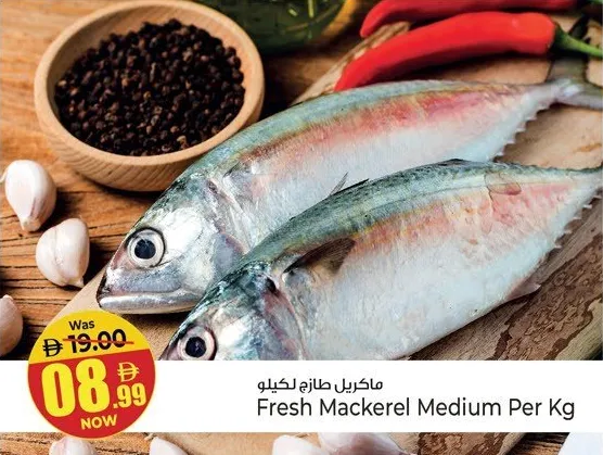 Fresh Mackerel Medium