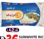 Sunwhite أرز