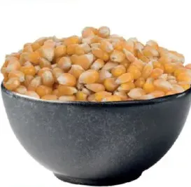 بوب كورن امريكان جاردن