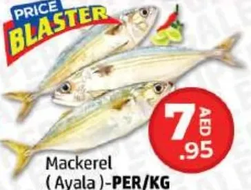 Mackerel (Ayala)