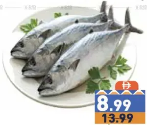 Tuna Black Fish