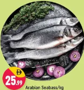 Arabian Seabass