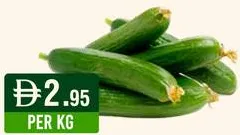 خيار/قرع مقطع