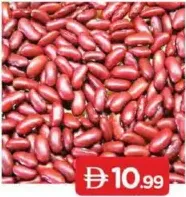 Red Kidney