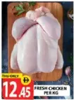 Fresh Chicken
