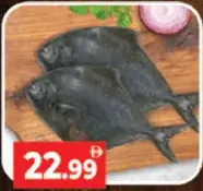 زبيدي أسود (Avoli Black)