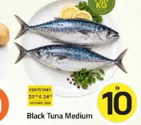 Black Tuna Medium