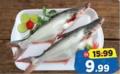 Pangush Fish
