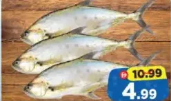 Baser Fish