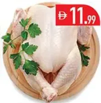 Fresh Chicken