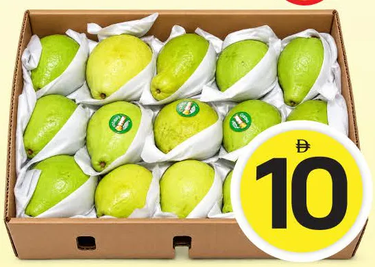 Guava Egypt Box