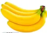 موز إكوادور