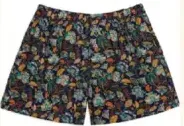 Bodycare Mens Shorts