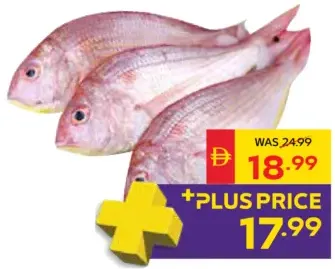 Fresh Sultan Omani