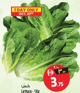 Lettuce