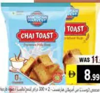 American Harvest Toast Wheat/Milk