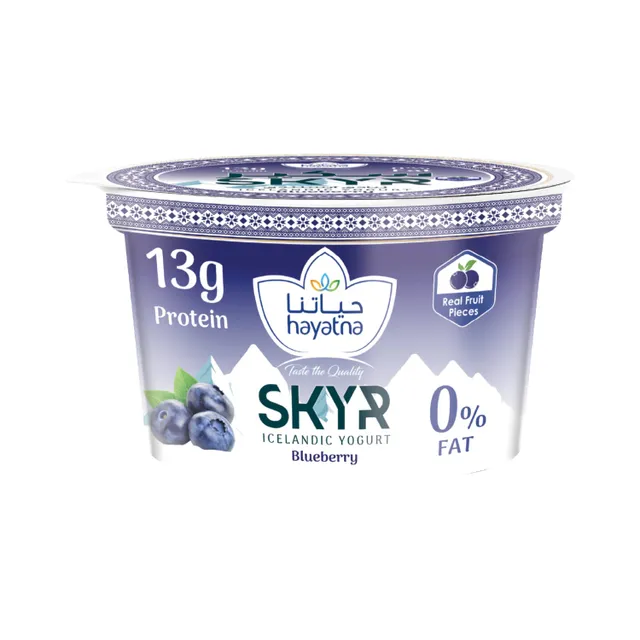 Hayatna SKYR Blueberry Icelandic Yogurt
