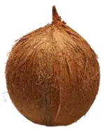 جوز هند لكل pc