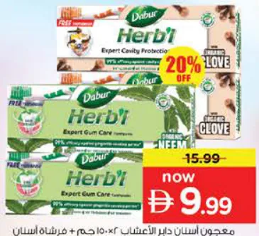 Dabur Herbal ToothPste + Tooth Brush Assorted
